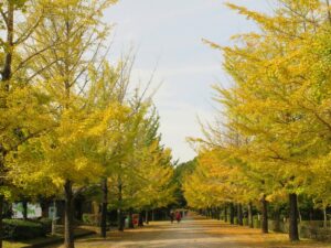 2024年10月31日