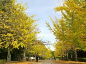 2024年10月31日