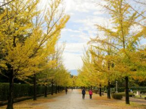 2024年11月1日
