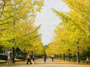 2024年11月1日
