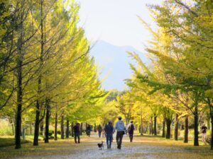 2024年11月3日
