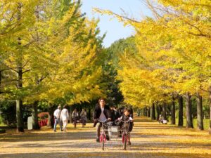 2024年11月3日