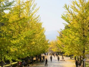 2024年11月3日