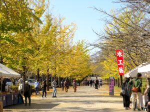 2024年11月4日