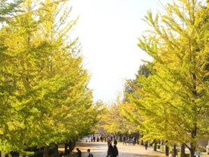 2024年11月4日