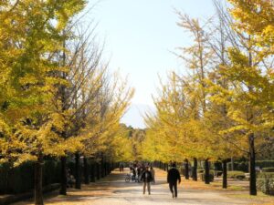 2024年11月4日