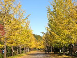 2024年11月7日