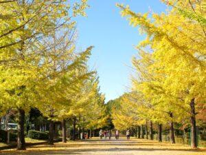 2024年11月7日