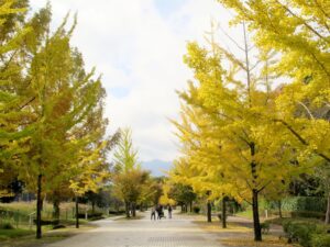 2024年11月10日