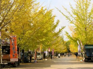 2024年11月10日