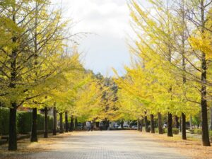 2024年11月10日