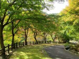 2024年11月10日