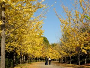 2024年11月12日