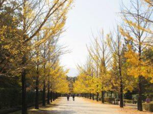 2024年11月12日
