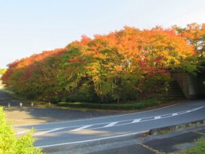 2024年11月12日