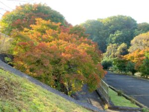 2024年11月12日