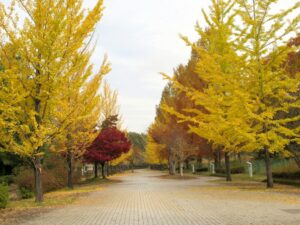 2024年11月15日