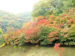 2024年11月15日