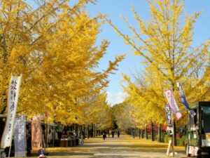 2024年11月17日