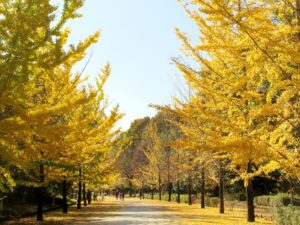 2024年11月17日