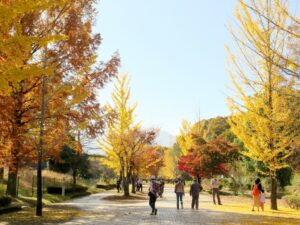 2024年11月17日