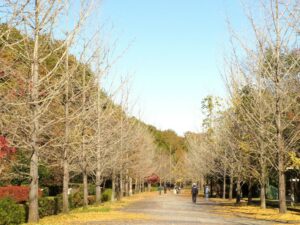2024年11月19日