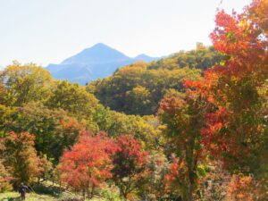 2024年11月19日