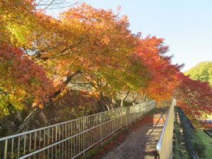 2024年11月22日