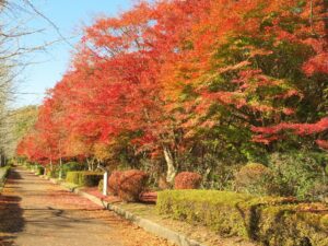 2024年11月22日