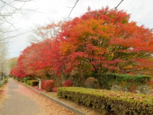 2024年11月26日