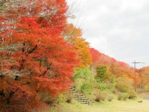 2024年11月26日