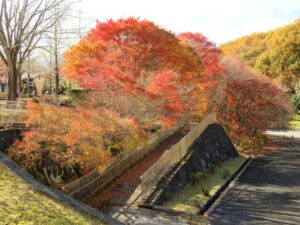 2024年11月29日