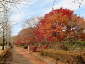 2024年12月4日