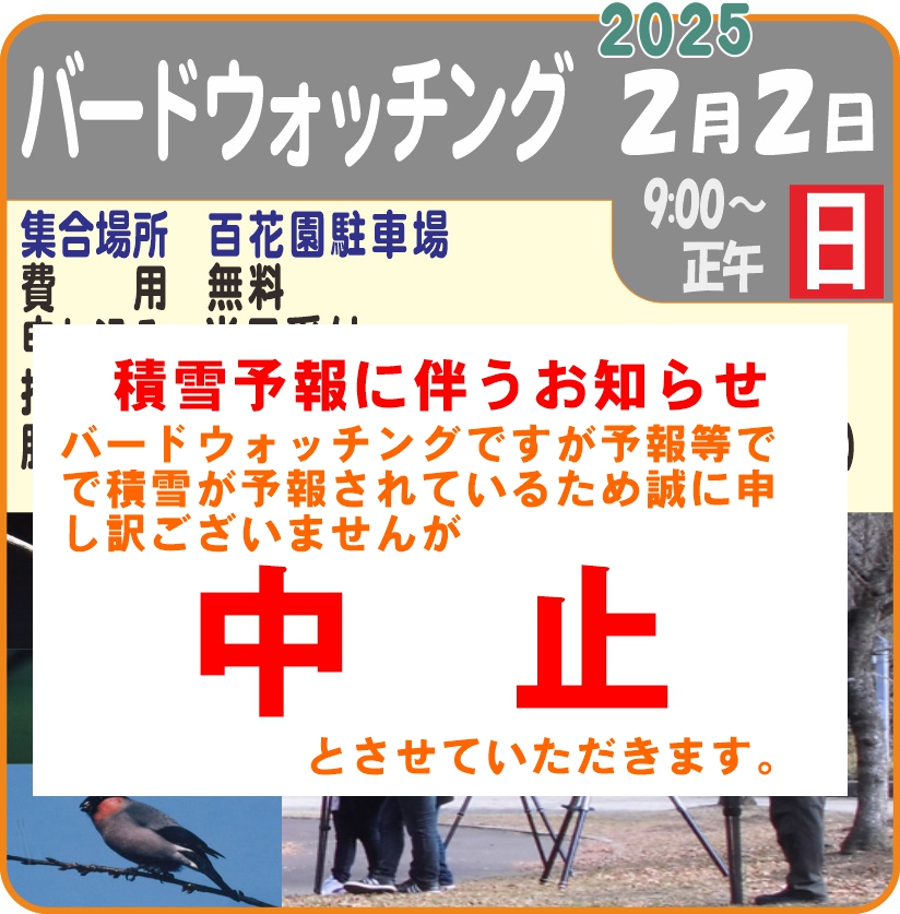 バードウォッチング　中止