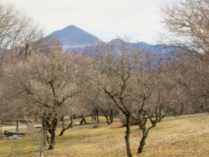 2025年2月23日