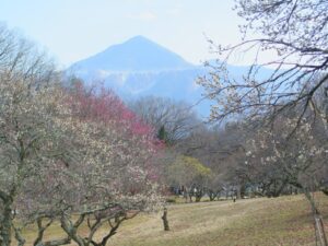 2025年3月2日