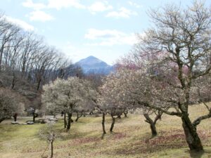 2025年3月7日