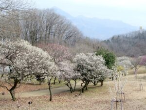 2025年3月13日