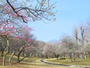 2025年3月13日