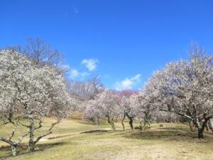 2025年3月17日