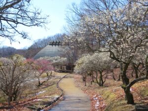 2025年3月21日