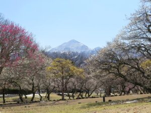 2025年3月21日