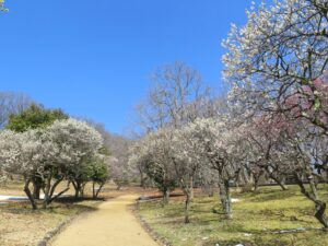 2025年3月21日