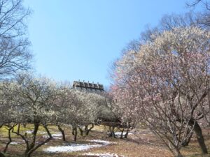 2025年3月21日