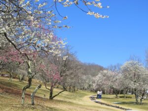 2025年3月21日