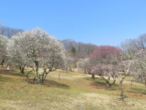 2025年3月23日