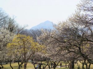 2025年3月23日