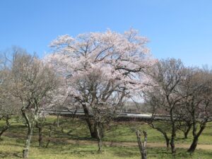 2025年3月28日