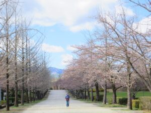 2025年4月4日