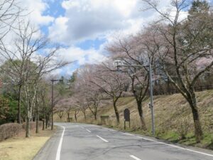 2025年4月4日